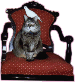Picture a catlover and her cat